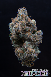 Milkweed - MilkWeed | Pink Melonz | 3.5G