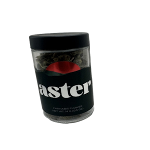 Aster NY - Aster NY | Grape Giza | 14g indica