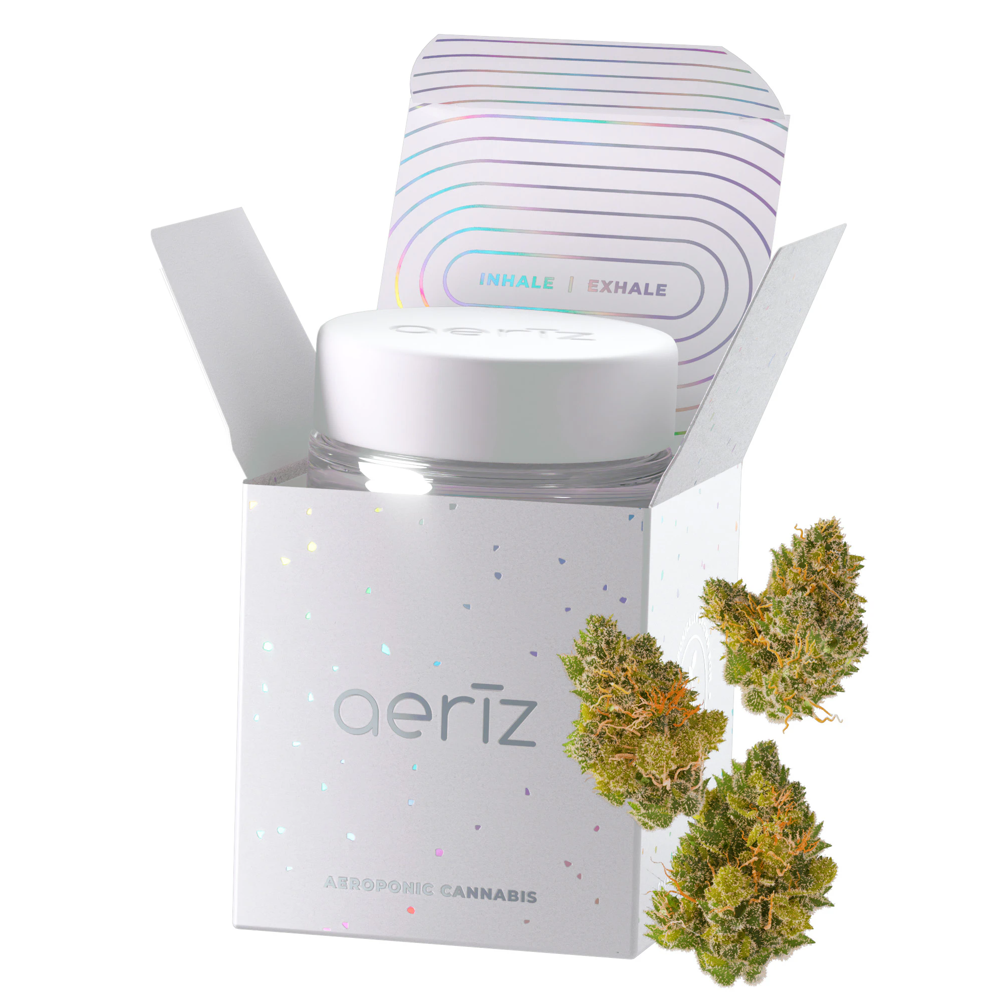 Aeriz - Aeriz | Premium Flower | Jack Herer | 3.5g Main Image