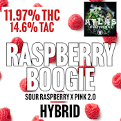 Atlas Cultivars | Raspberry Boogie | 1G