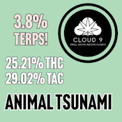Cloud 9 | Animal Tsunami + 3.8% Terps!