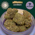 Product Preview Image 1