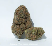 BUDJET - ALASAKAN THUNDER - FLOWER - 3.5