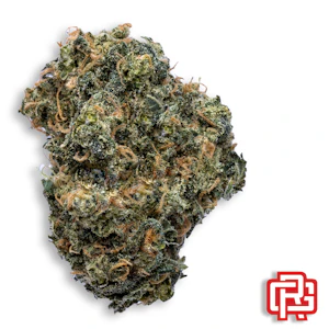 Oregon Roots - Alien Dreams Flower