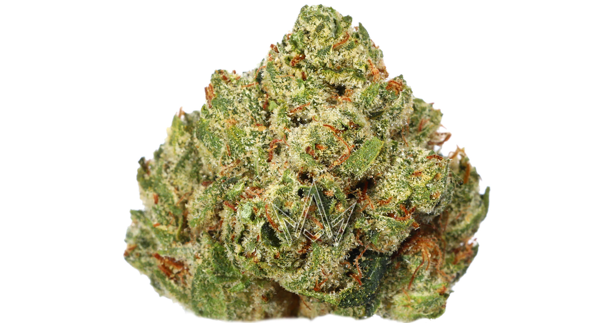 The Cure Company: Alien OG