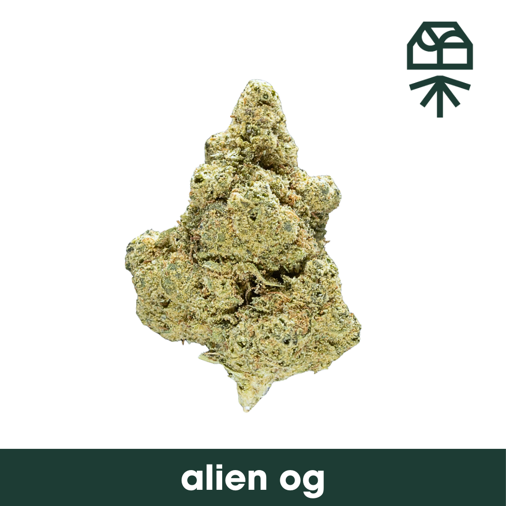 Grassroots | Alien OG (smalls) | 14g - Upstate Canna Co
