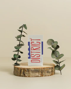 District Cannabis - Banana Acai Mints | Cured Resin Cart | 1g | District Cannabis