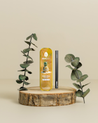 Dompen Pineapple Coast | Hybrid | Disposable Cart | 1g | District Cannabis