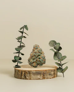 Molecular Farms - Sweet Tea | Pre- Pack Flower | 3.5g | Molecular Farms 