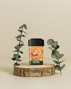 Tangerine Ginger | Edible | 100mg | Easy Day