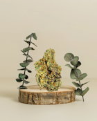 Peach Crescendo | Pre - Pack Flower | 3.5g | King Weedy