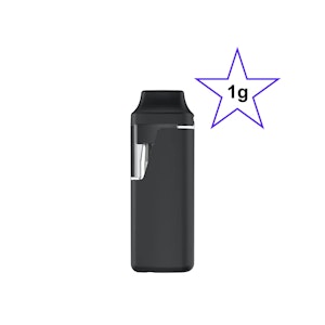 Toeks - Dispo | Ghost Train Haze | 1g