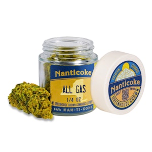 NANTICOKE - Nanticoke: All Gas - 7g - Glass Jar Flower