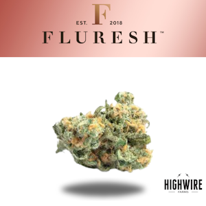 Carbon - Alpha Dog 1/8th