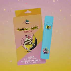 Amnesia 1G Disposable - Banana Split