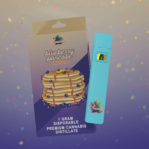 Amnesia - Amnesia 1G Disposable- Blueberry Pankcakes