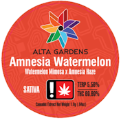 Amnesia Watermelon, Cured Resin