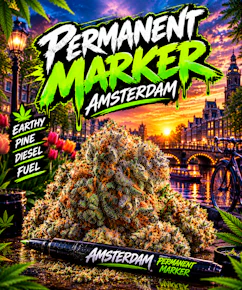 Amsterdam | Permanent Marker | 28g Prepack