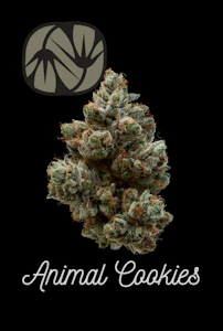 ALTERNATIVE SOLUTIONS - Animal Cookies 14G - Half Oz by Alt Sol