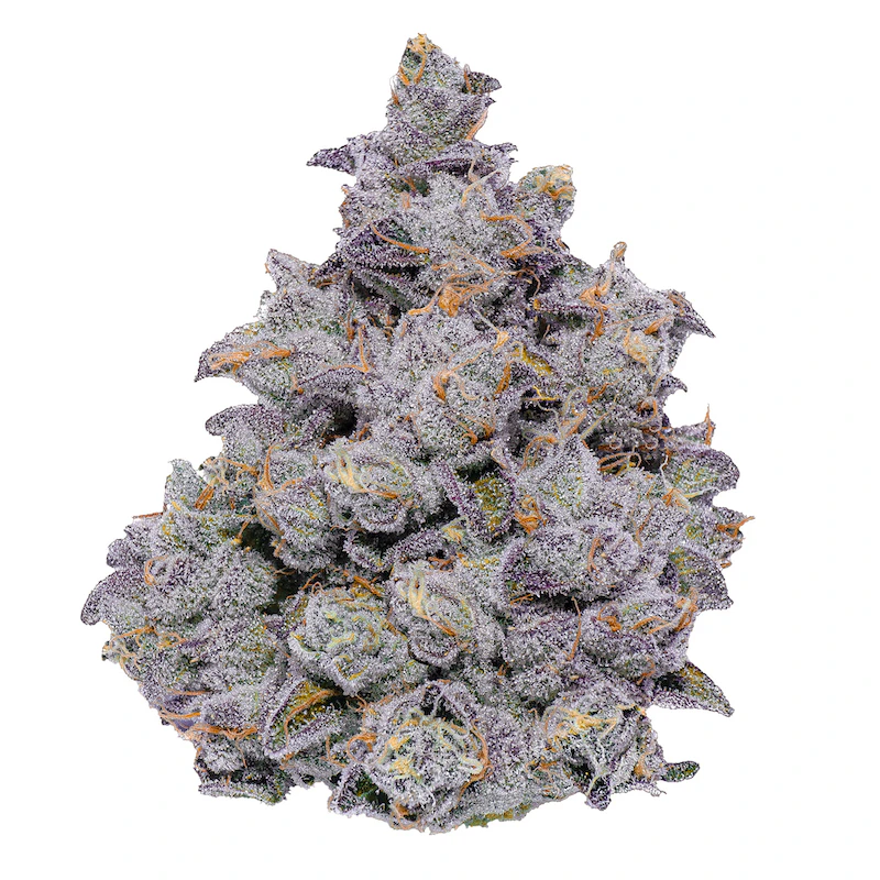 Fig Farms - Bluscotti - 3.5g (H) - Fig Farms Main Image