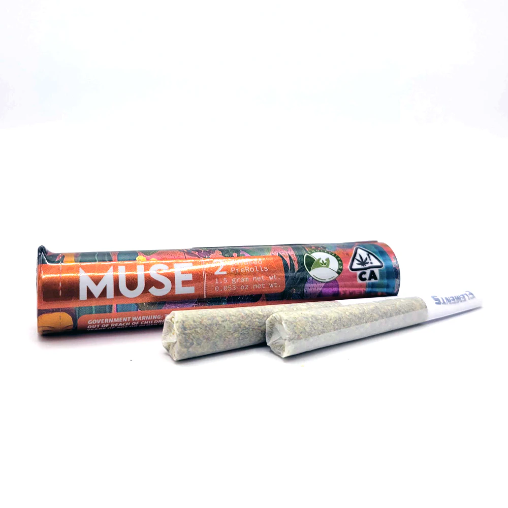 Muse - Next Day - Animal Face x Tropical Punch - 2 pack Infused Preroll (1.5g) Main Image