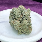 Flower - Animal Mintz