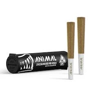 ANIMAL - ANIMAL | SFV OG - 2PK INFUSED | PREROLL | 1G