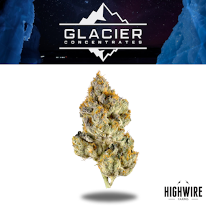 GOLDKINE - Animal Tree 1/8th