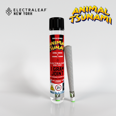 ElectraLeaf - Animal Tsunami -Hybrid- 23.21% THC | (Pre-Roll) 1g | Electraleaf        -ad2 front
