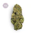 Product Preview Image 1