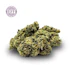 Product Preview Image 2