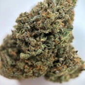 Apple Fritter