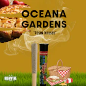 Oceana Gardens Apple Pie Live Rosin Preroll 1g
