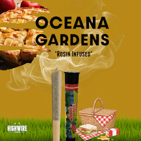 Oceana Gardens Apple Pie Live Rosin Preroll 1g