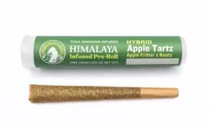 HIMALAYA - Himalaya 1g Apple Tartz Infused Preroll Main Image