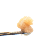 Apple Fritter 73µ Live Rosin - 1g - HHG