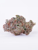 Apple Strudel - 3.5g (H) - Pure Beauty