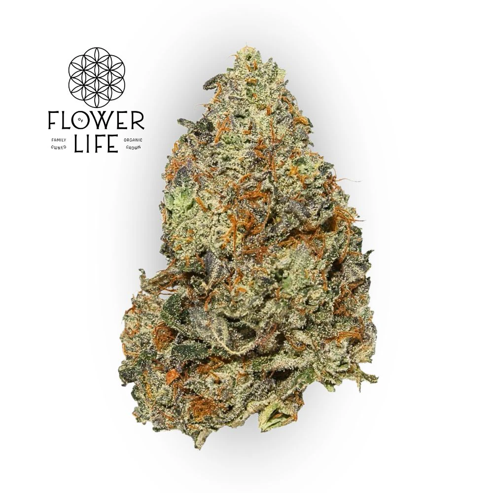 Flower of Life - OK - Apples & Bananas Bulk Flower - FLOWER OF LIFE Main Image