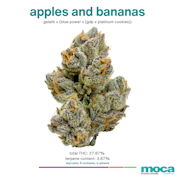 MOCA Flowers - 1G Smalls - Apples and Bananas