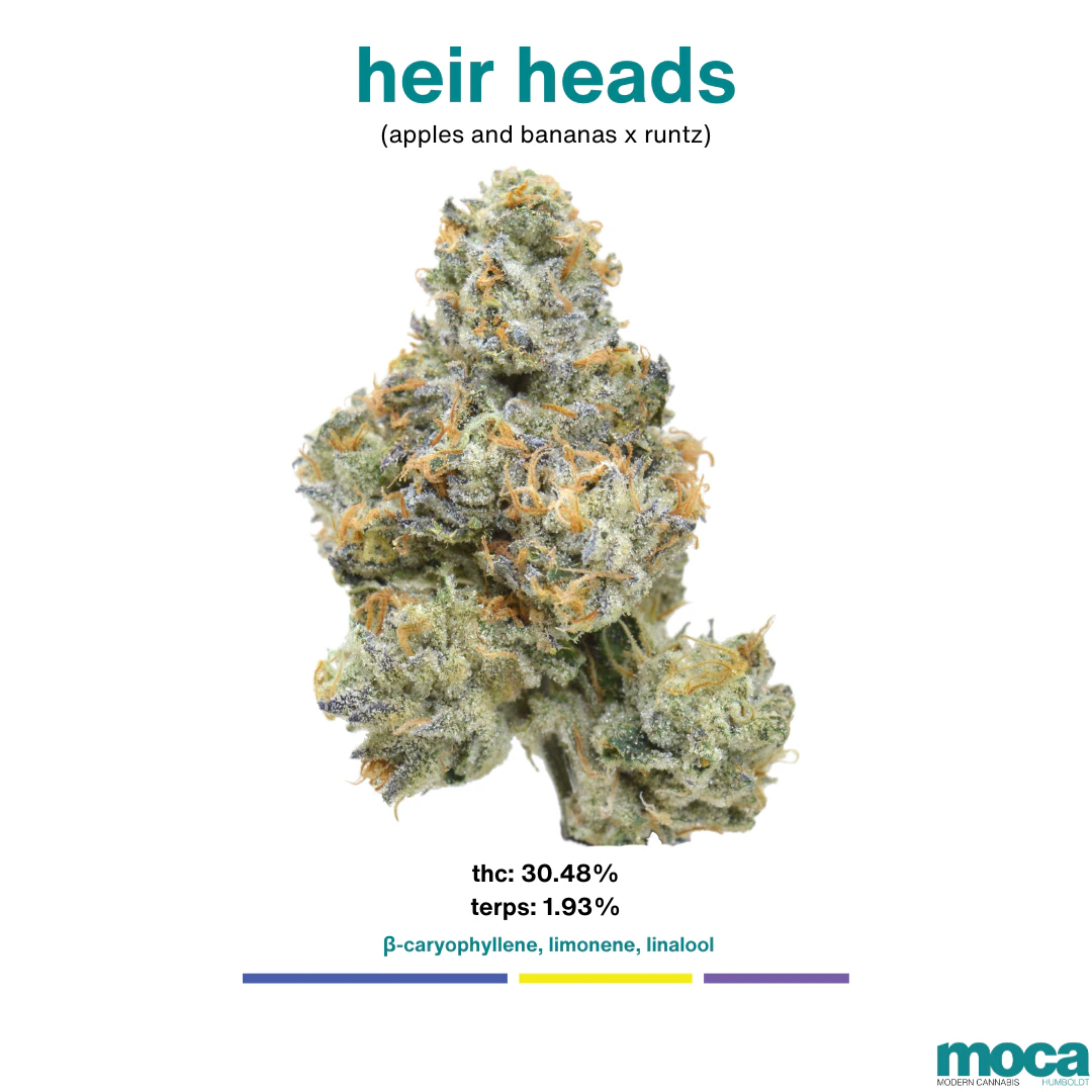 MOCA Flowers - MOCA Flowers - 1/8th Jar - Heir Heads Main Image
