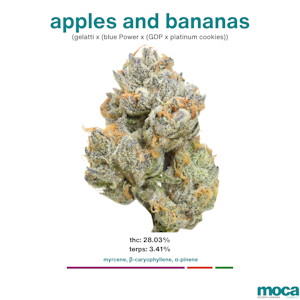 MOCA Flowers - MOCA Flowers - 1/8th Mylar Bag - Apples and Bananas