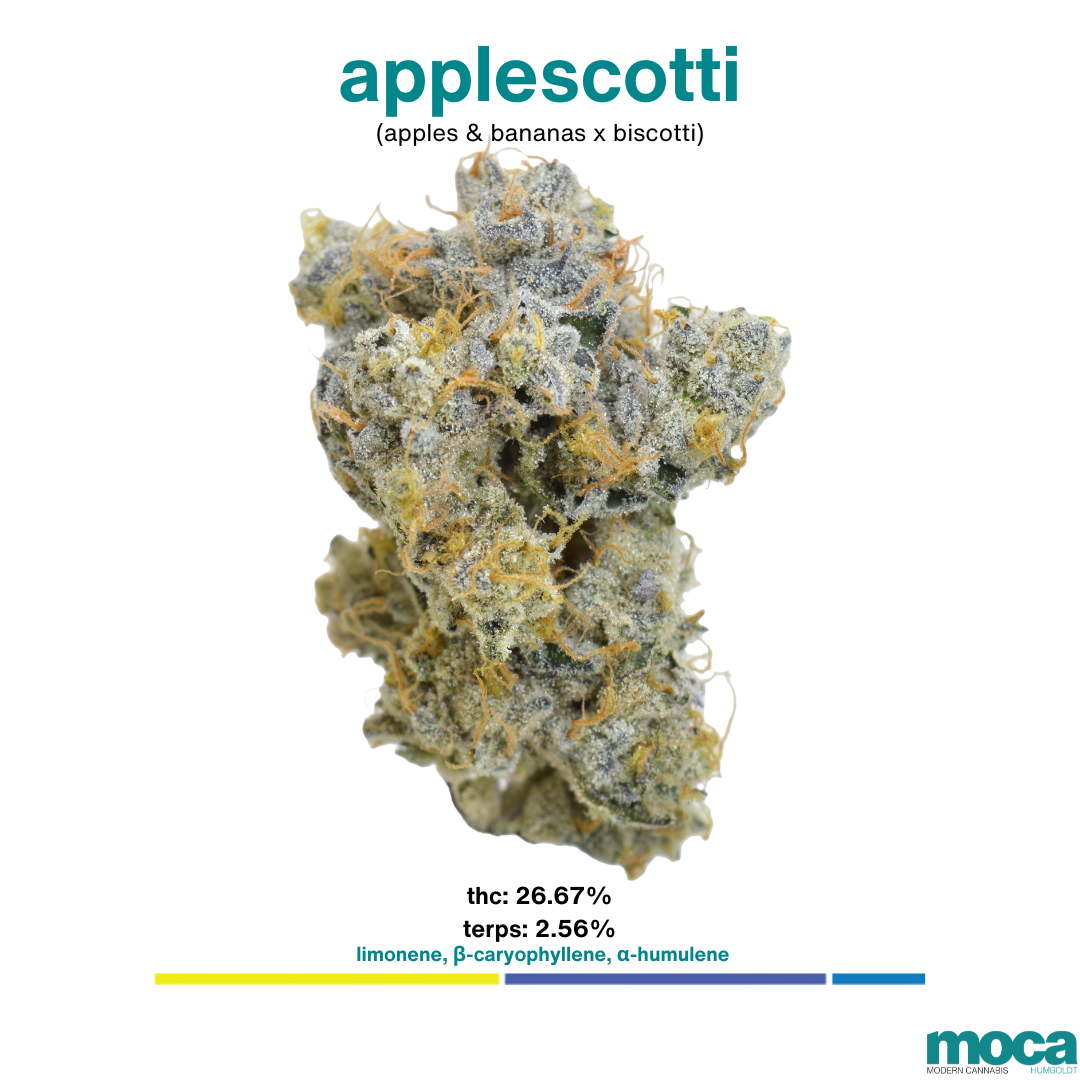 MOCA Flowers - 1/8th Mylar Bag - Applescotti