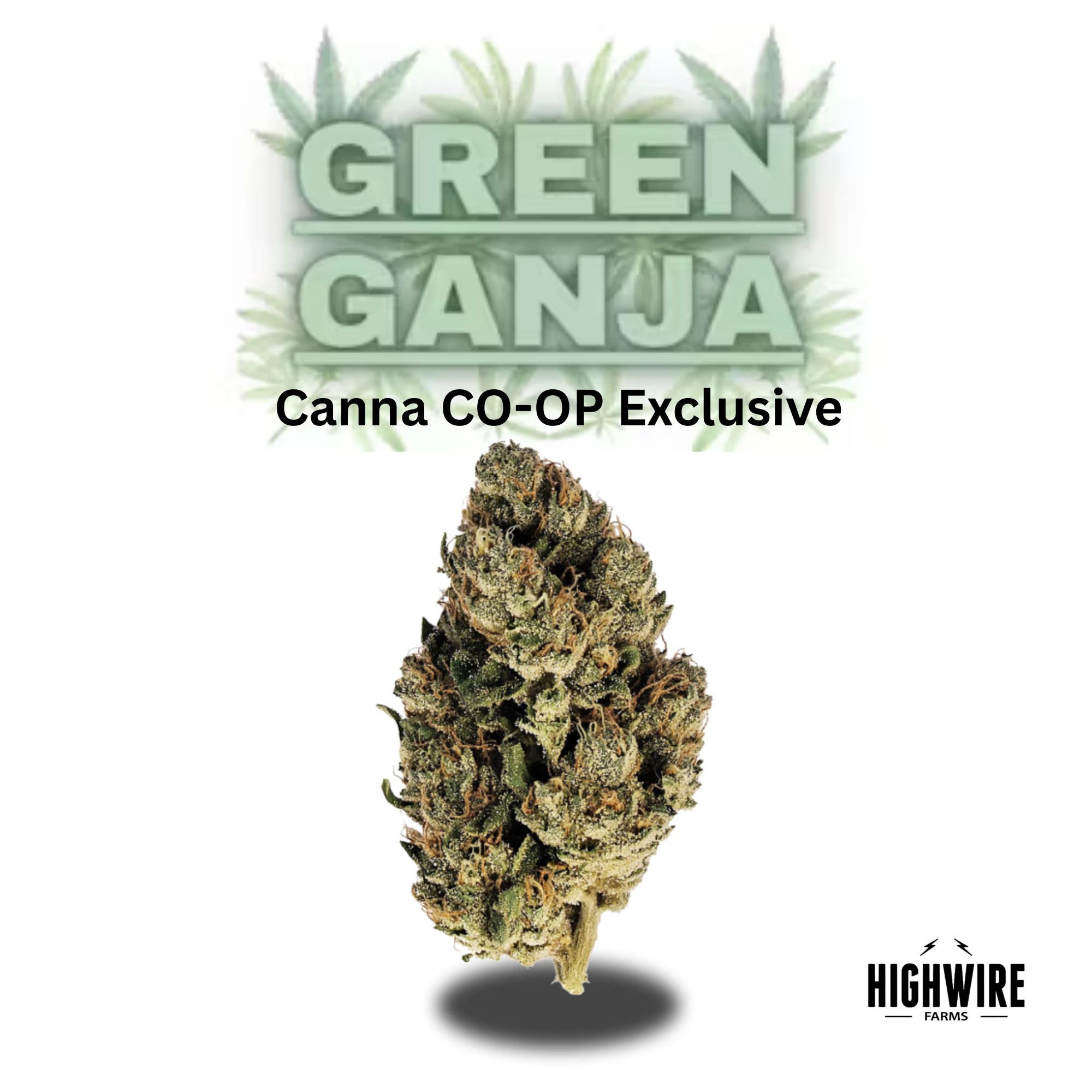 Green Ganja - *Canna Co-Op Member Exclusive* Appletini 1/8th Main Image