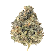 VH Apricot Ice Cream | 3.5g