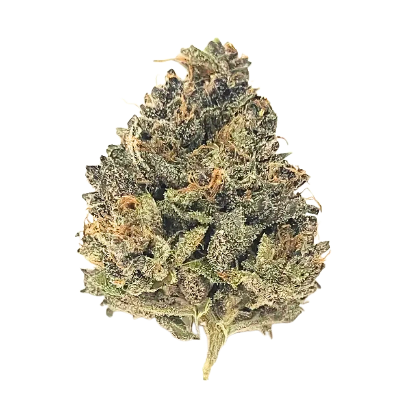 Valhalla Cannabis Company - VH Apricot Ice Cream | 3.5g Main Image