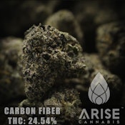 Arise | Carbon Fiber
