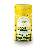 Pineapple | Arriba 