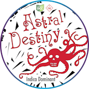Astral Destiny - 14.15 grams