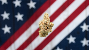 American Grown-Astronaut Status Deli Flower