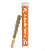 Preroll | Royal Crisp | 1g